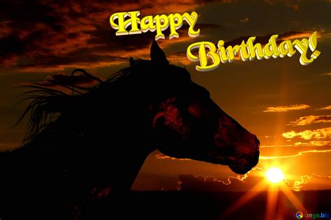 Horse Sunset Happy Birthday Free Image 2116