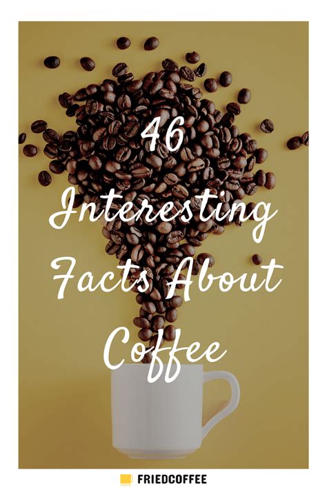 46 Interesting Coffee Facts Every Coffee Nerd Should Know Artofit