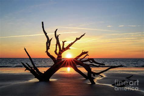 Driftwood Beach Sunrise Photograph by Jennifer Ludlum - Pixels