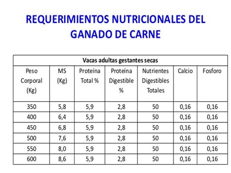 Agropecuarias Requerimientos Nutricionales De Diferentes Especies