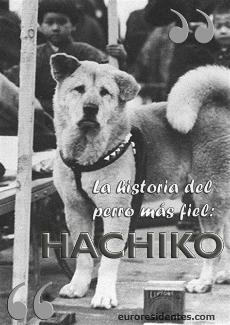 Hachiko La Historia Del Perro M S Fiel Todo Mascotas Hachiko