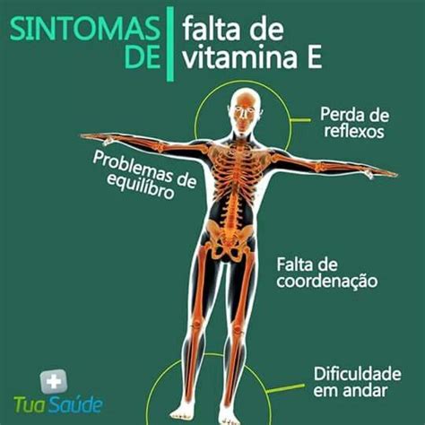 Falta De Vitamina E Dicas Saúde Vitaminas