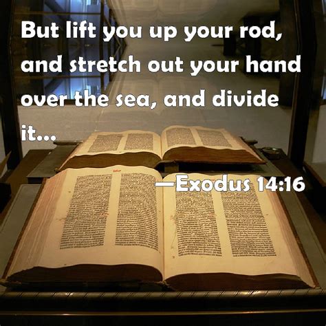 Exodus 1416 But Lift You Up Your Rod And Stretch Out Your Hand Over