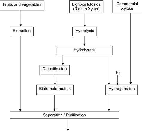 Xylitol Production Methods Parajo Et Al 1998a Download Scientific