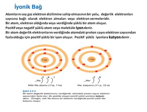 Yonik Ba Olu Umu Konu Anlat M