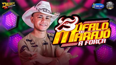 Cd Ao Vivo Bufalo Do Maraj Em Bonito Dj Marcos