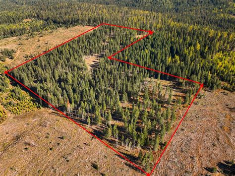 30 Acres Of Recreational Land For Sale In Tollgate Oregon Landsearch