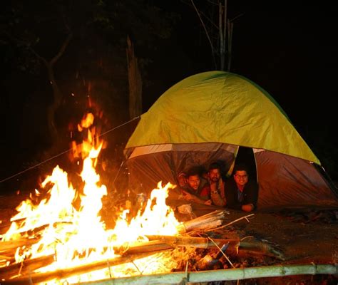 Jungle Camping 헕헢헢헞 Chintapalle Camp