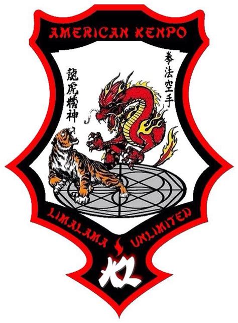 Pin By Joe Rebelo On Kenpo Patches Pins Designs Kenpo Karate Kenpo