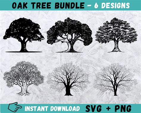 Oak Tree Svg Tree Svg Big Tree Svg Oak Svg Outdoor Svg Tree Svg