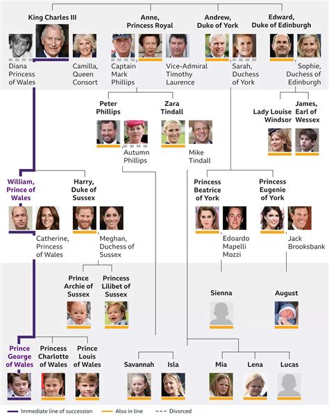 Royal family tree: King Charles III’s complete line of succession