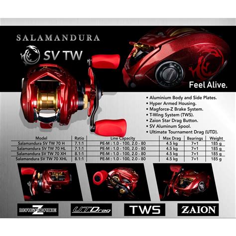 Jual Daiwa Salamandura SV TW 70 2022 Shopee Indonesia