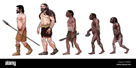 Human Evolution Grabber