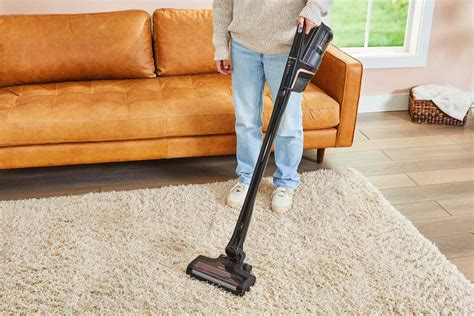 vacuum cleaner  carpet   storables