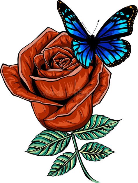 Vector Illustration Of Butterfly On Red Rose On White Background Stock