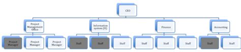 Comparing Strong Weak And Balanced Matrix Organizations