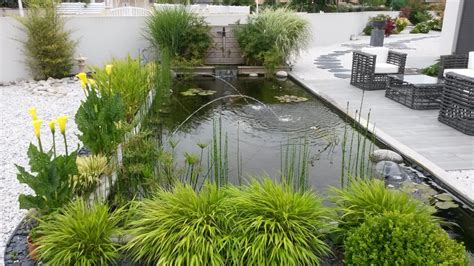 Jardin Aquatique Zen Materiel De Bassins