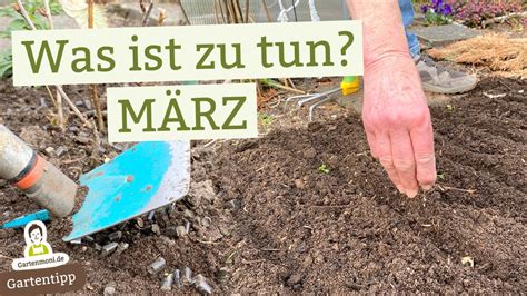 wichtigsten Gartenarbeiten im März für einen erfolgreichen Start in