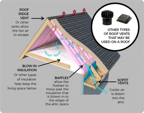 Proper Attic Ventilation Roof Cat Roofing