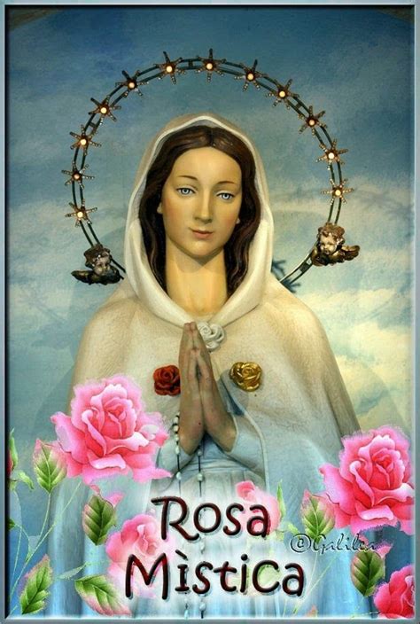 Virgen María Ruega por Nosotros VIRGEN ROSA MÍSTICA Rosa