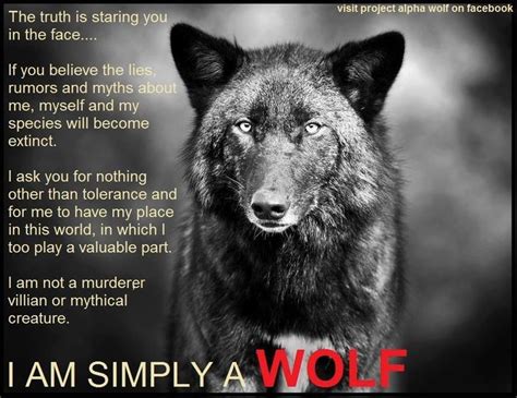 271 best Wolf spirit guide images on Pinterest | Wolves, Spirit animal ...