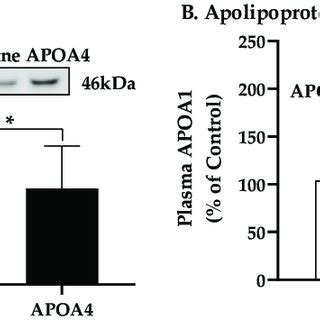 Levels Of Plasma Apolipoprotein A4 A And A1 B In 5 H Fasted Mice