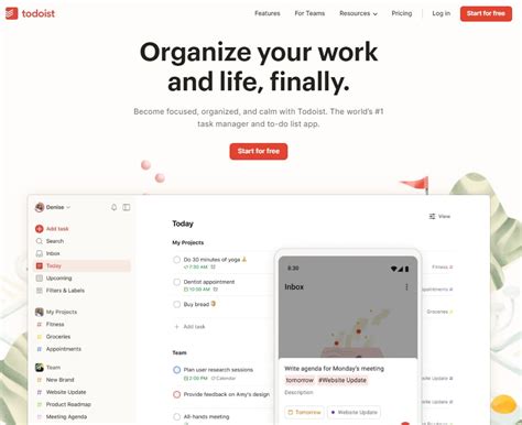 Todoist Vs Microsoft To Do Task Management Software Review Blitzi