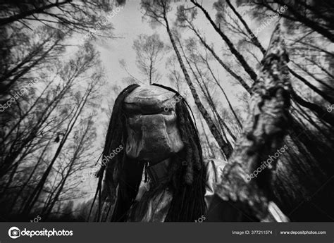 Хищник Лесу Маска Хищника стоковое фото ©Chawran 377211574