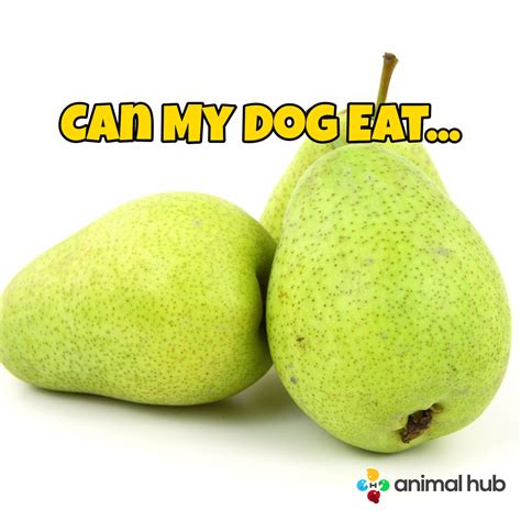 Can Dogs Eat Vegetable Pear at Jason Troy blog