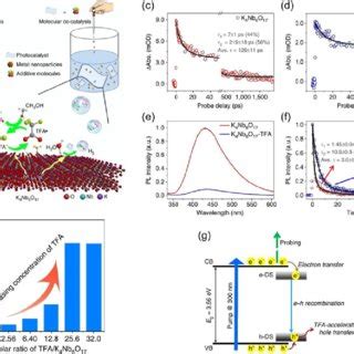 A Schematic Illustration Of Molecular Co Catalysis Strategy For