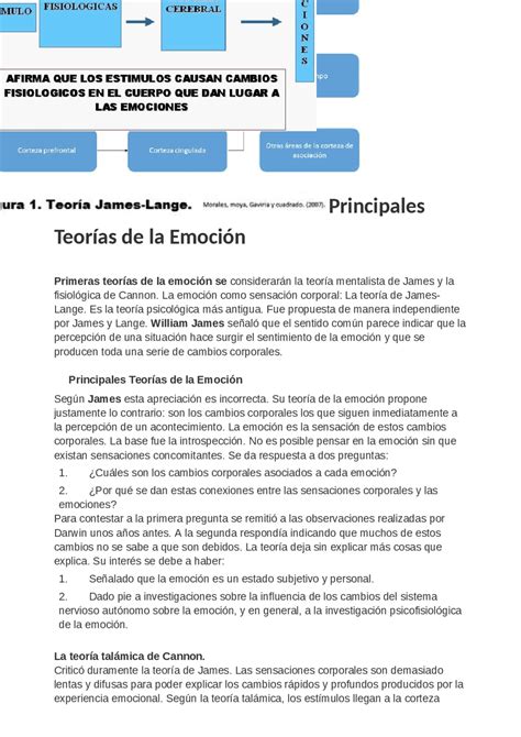 Principales Teorías De La Emoción En La Psicología Emocional Mentes Analíticas