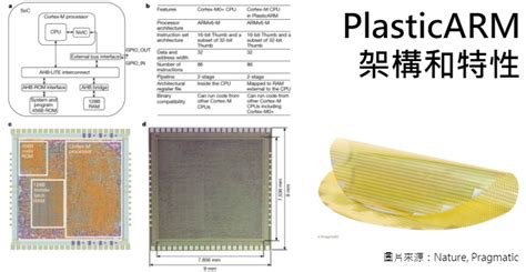 市場報導 ： Arm為物聯網開發plasticarm一種可彎曲微處理器 科技產業資訊室iknow