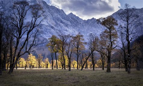 Green Tree Mountains Landscape Trees Nature HD Wallpaper