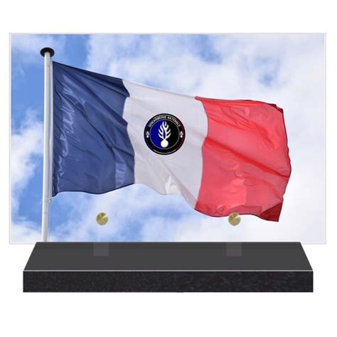 Plaque Fun Raire Gendarmerie Nationale Cm X Cm Fpfnx