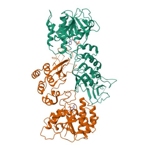 Rcsb Pdb Xgq The Co Crystal Structure Of Ltpm With Udp