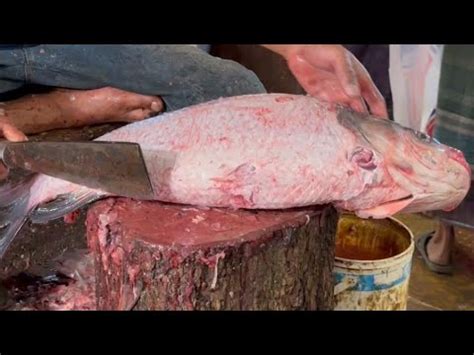 Perfect Big Catla Fish Cutting Step By Step Guide To Clean Fillet