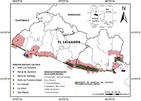 Ecosistemas Acuaticos De El Salvador Importancia En La Dinamica