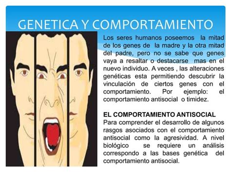 Actividad La Relacion Entre Genetica Y Comportamiento Ppt