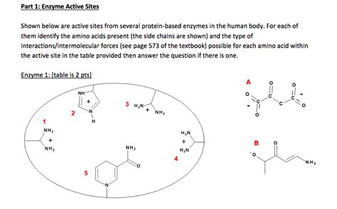 Solved Part Enzyme Active Sites Shown Below Are Active Chegg