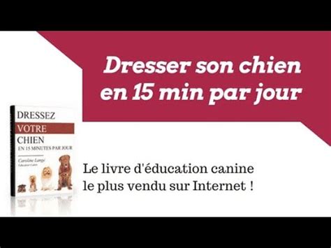 Dresser Son Chien En Minutes Par Jour Caroline Lange Youtube