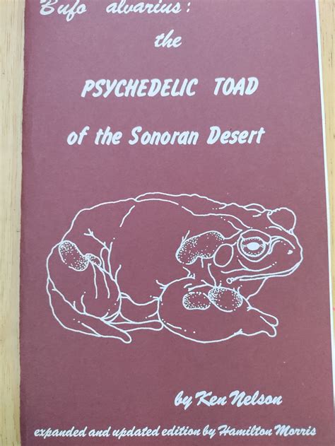 Bufo Alvarius The Psychedelic Toad Of The Sonoran Desert Etsy