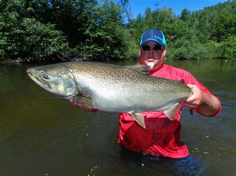 Betsie River Michigan Streamside Au Sable River Fly Fishing Guides