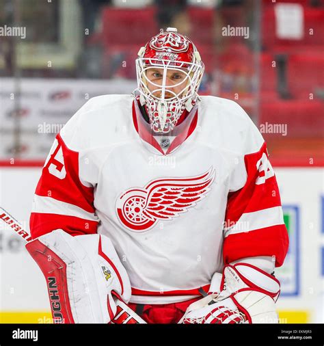 Detroit Red Wings Goalie Jimmy Howard 35 During The NHL Game Stock