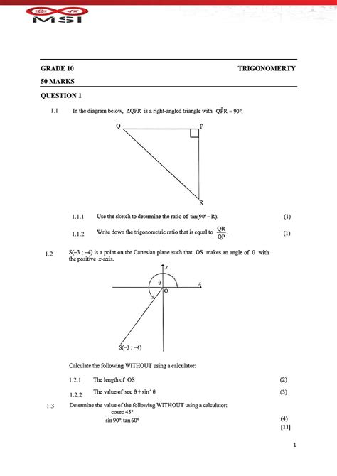 SOLUTION: Grade 10 trigonometry - Studypool