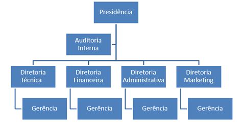 Aula 01 Conceitos Objectivos E Tipos De Auditoria Interna Gratis