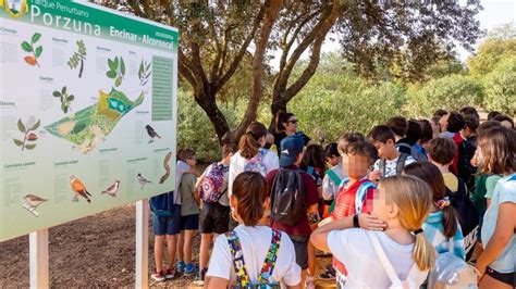 Actividades Para Colegios E Institutos En Mairena Del Ajarafe