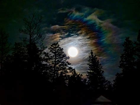 British Columbia Photos | I took this photo 2 days ago