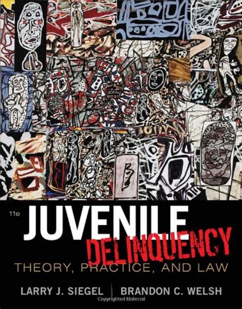 How To Address Juvenile Delinquency In A Diverse Society