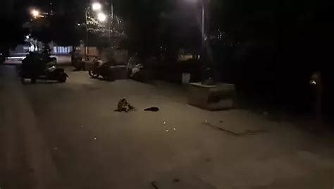 Penelope Olsen Showing Off My Tits And Pussy While Riding A Motorcycle On The Public Road