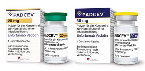 Nectin 4 New Antibody Drug Conjugate Adc Target Biopharma Peg